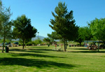 AADE Walk/Jog-a-Thon