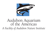 AquariumofAmericas