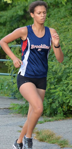 Gellinueau, Emerging Elites