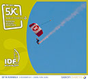 256_Tracs_Dubai_2011