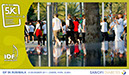 116_Tracs_Dubai_2011