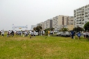 _JJS6537