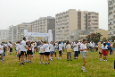_JJS6546